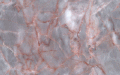 z40.gif (58186 bytes)